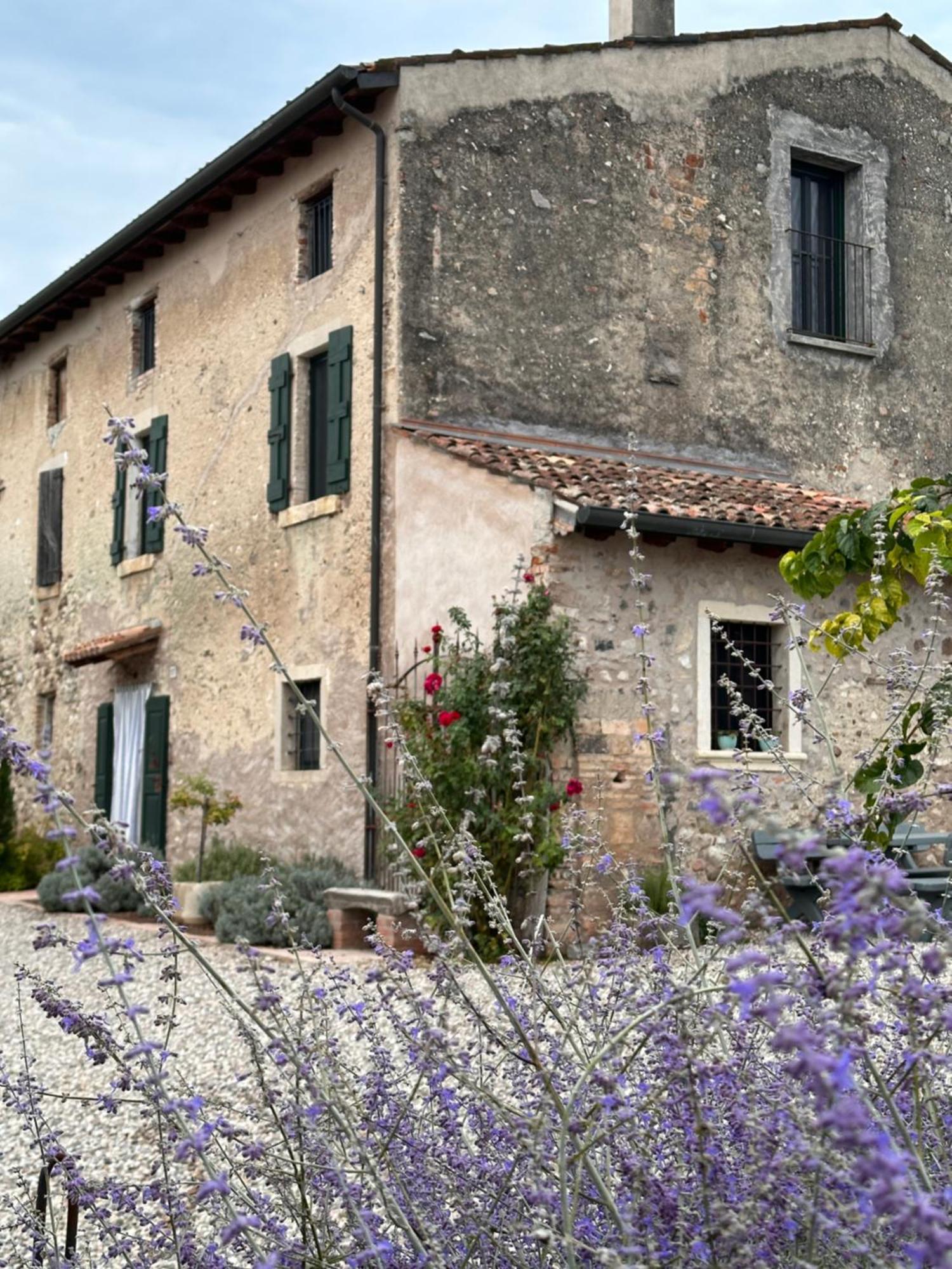 Ca Nova Agriturismo Castellaro  المظهر الخارجي الصورة